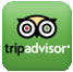 Segway Santa Cruz TripAdvisor